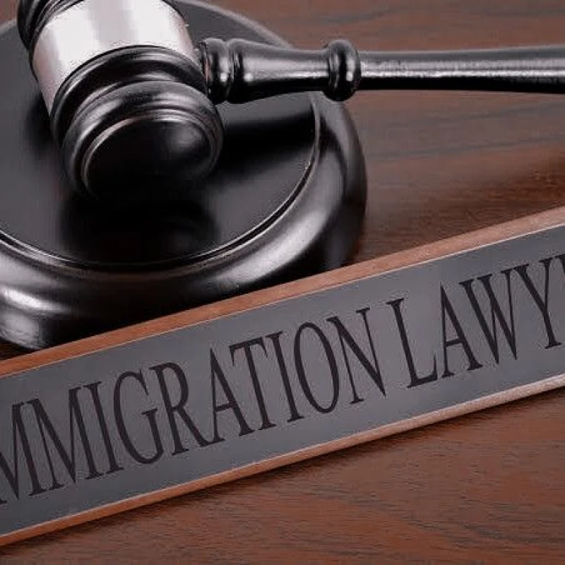 Immigration Consultation